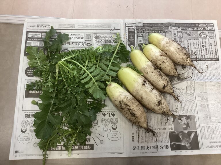 おおきくなあれ、おいしくなあれ Part3